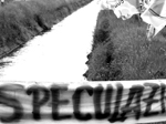 novaceta: striscione